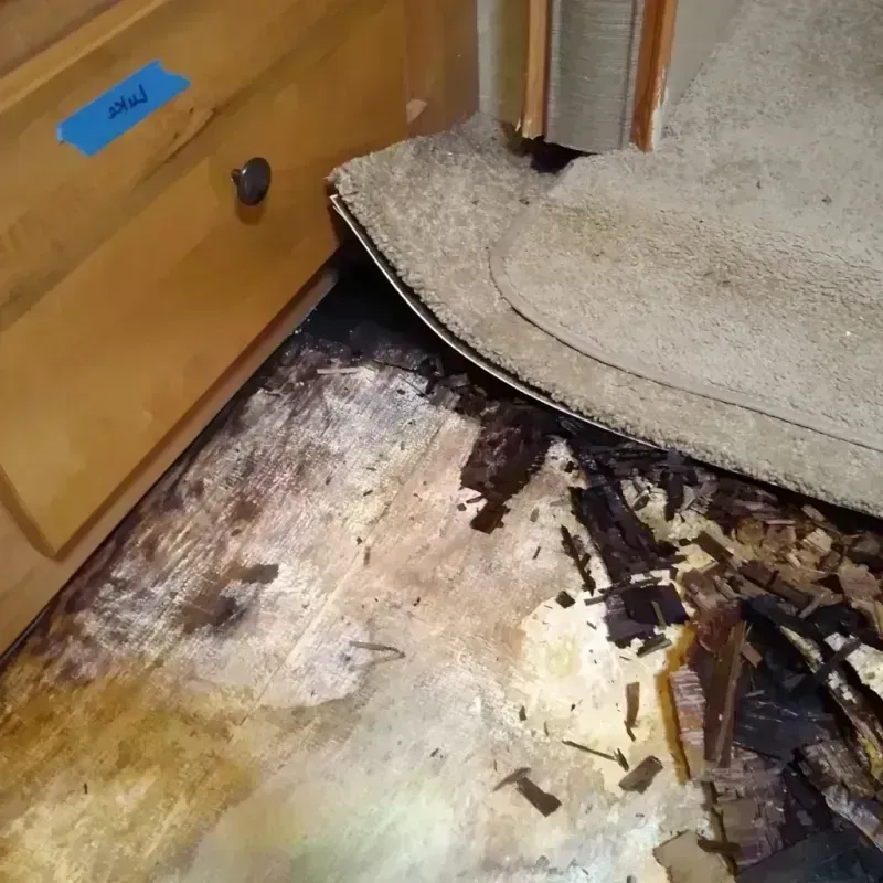 Wood Floor Water Damage in Ridge Wood Heights, FL